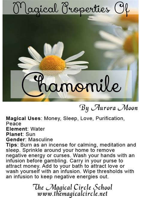 Magical porperties of chamomile